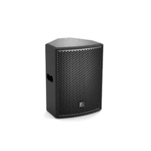 CP10 10" Full Range Speaker