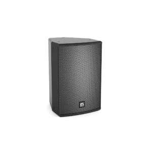 P10 10" Full Range Speaker